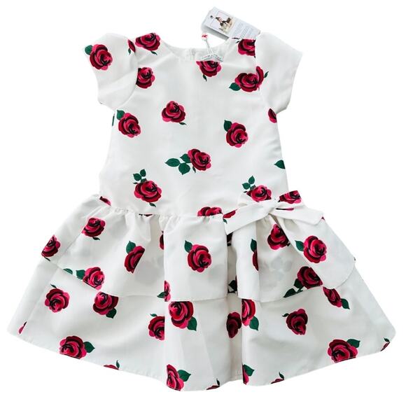 MAMA LUMA GIRLS IVORY & PINK ROSE DRESS NEW Size 9-10 Party Wedding Pageant - Picture 2 of 7